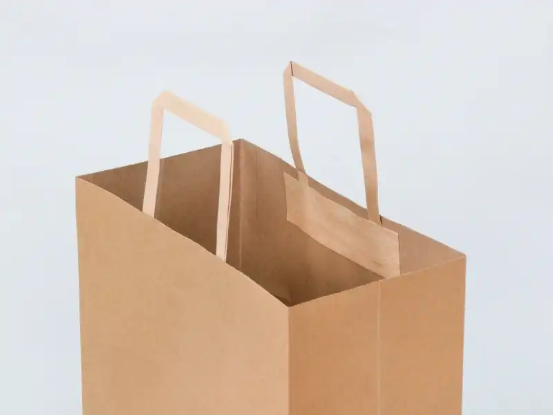 Сумки с плоскими ручками